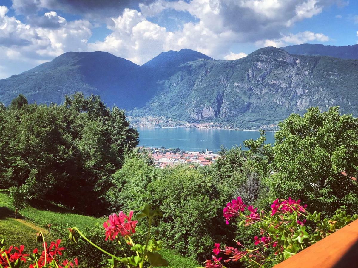 La Selvaggia Mandello del Lario